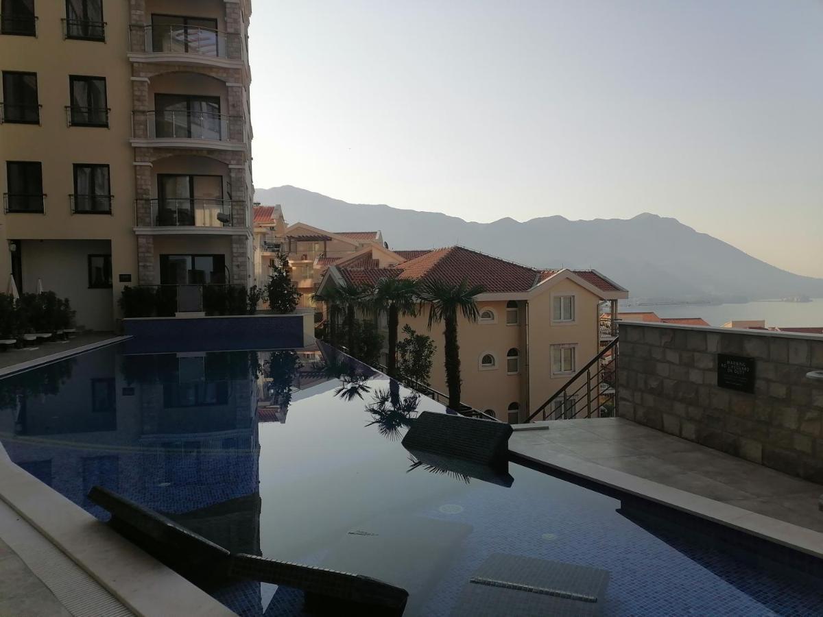 Montedreams Royal